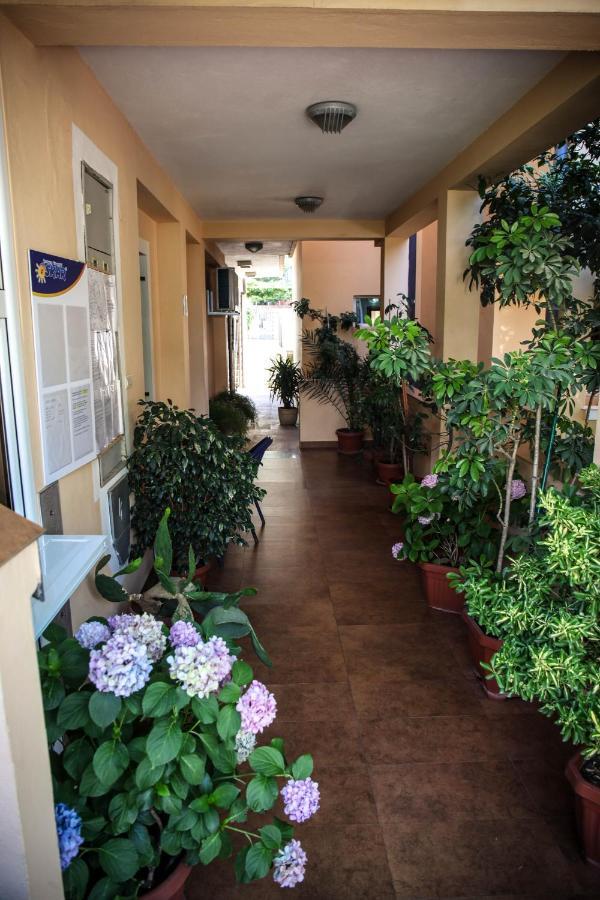 Apartman Stari Ribar *
